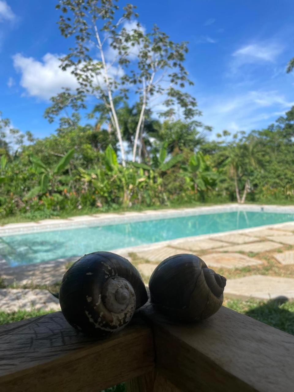 Purachata Ecolodge Iquitos Esterno foto