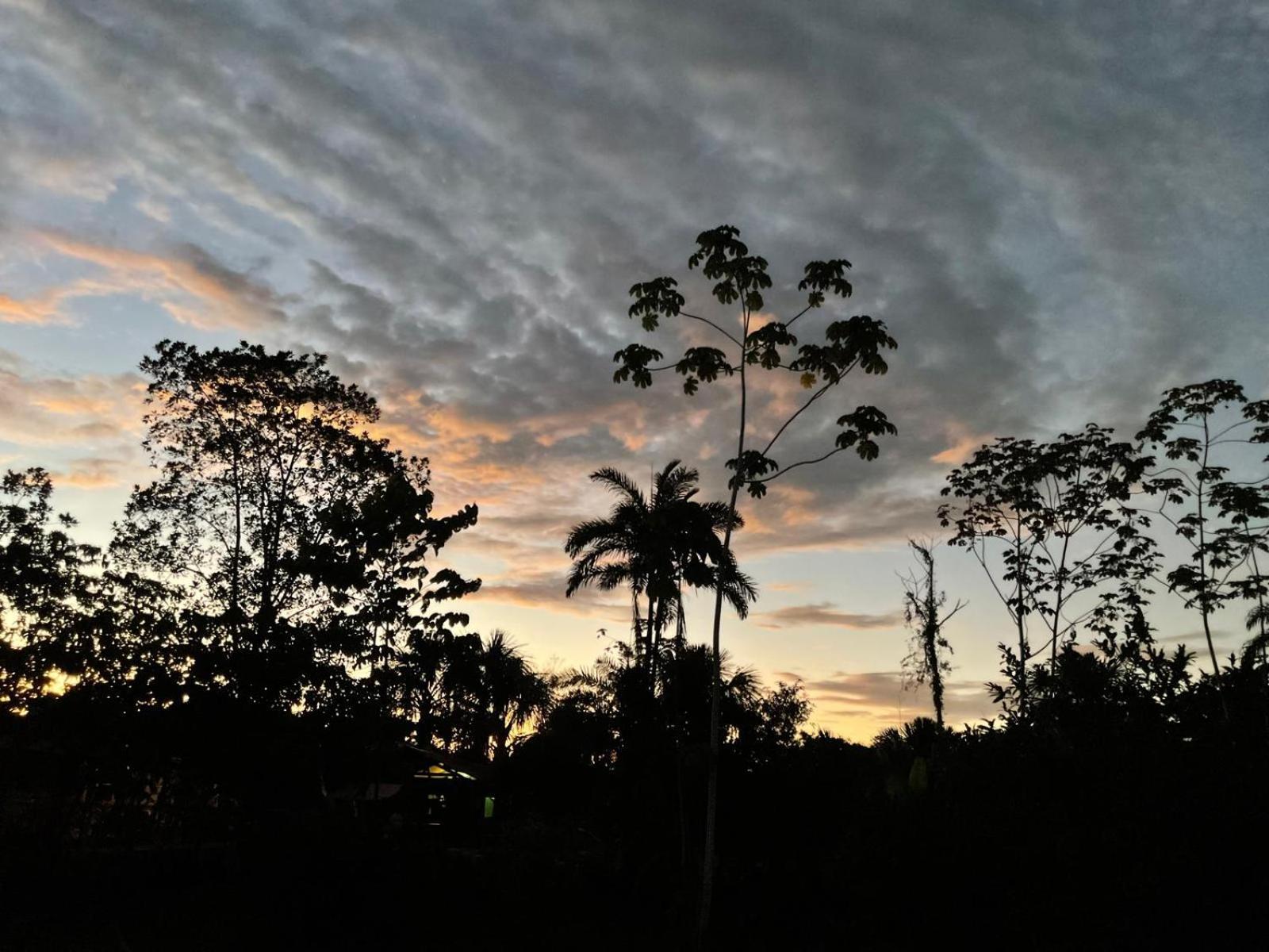 Purachata Ecolodge Iquitos Esterno foto