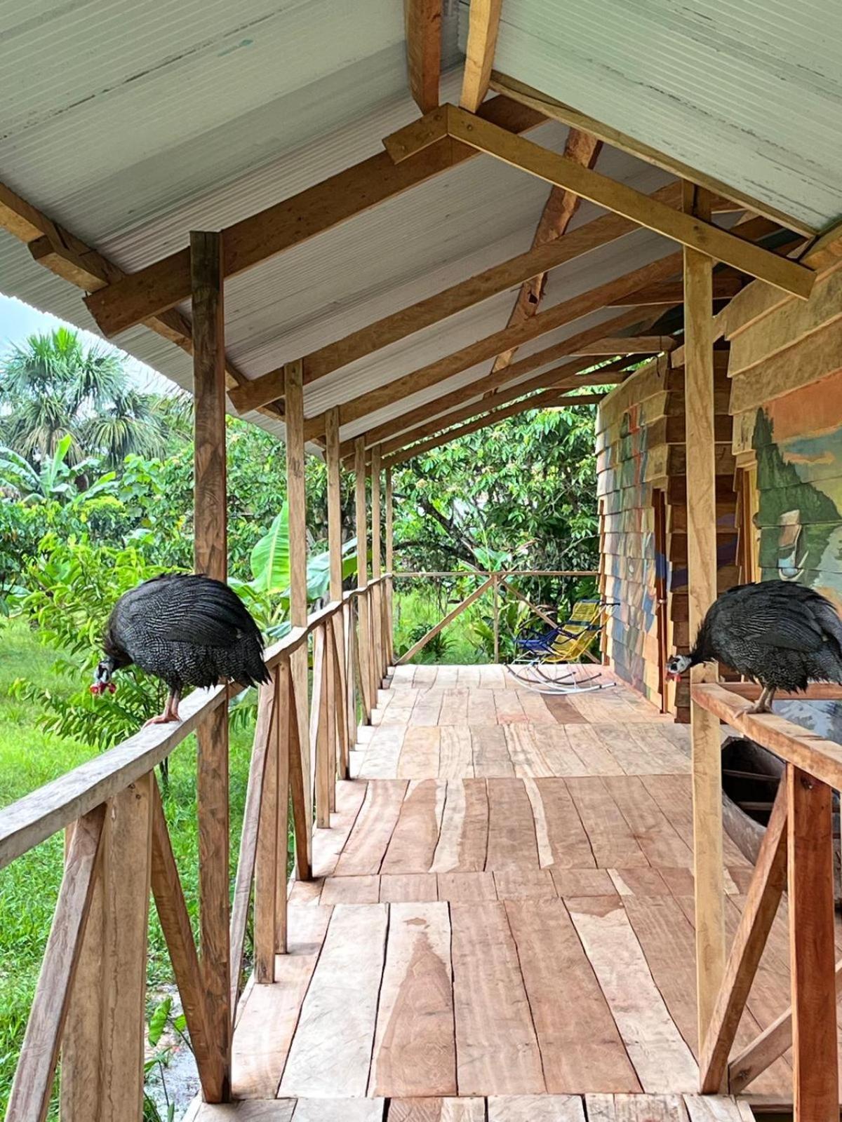 Purachata Ecolodge Iquitos Esterno foto