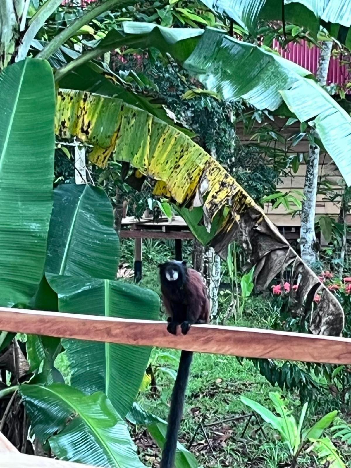 Purachata Ecolodge Iquitos Esterno foto