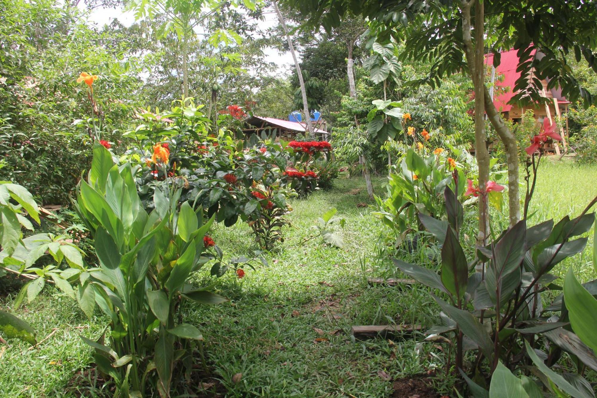 Purachata Ecolodge Iquitos Esterno foto